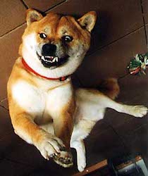 Aikan